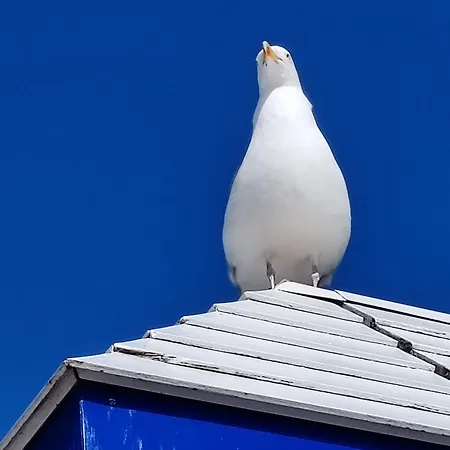 Holiday home Les Petits Poissons Dans L Eau