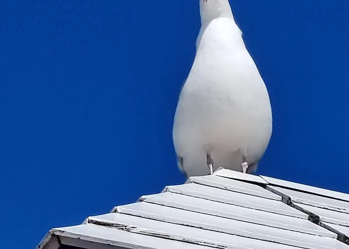 Holiday home Les Petits Poissons Dans L Eau